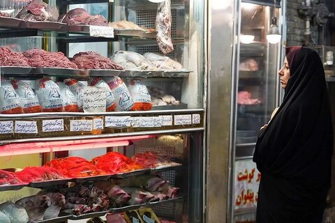 توزیع مرغ در قزوین هوشمند شد