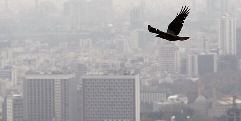 ازن، آلاینده تابستانه هوای تهران است!