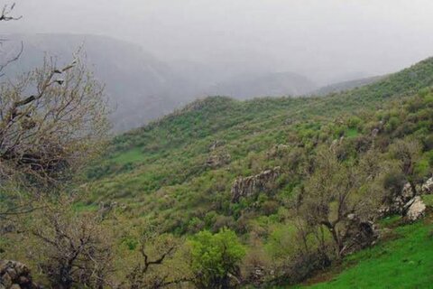استقرار ۲۲۰ دیده‌بان برای پیشگیری از آتش‌سوزی در عرصه‌های طبیعی کرمانشاه