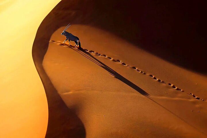 عکاسی هوایی