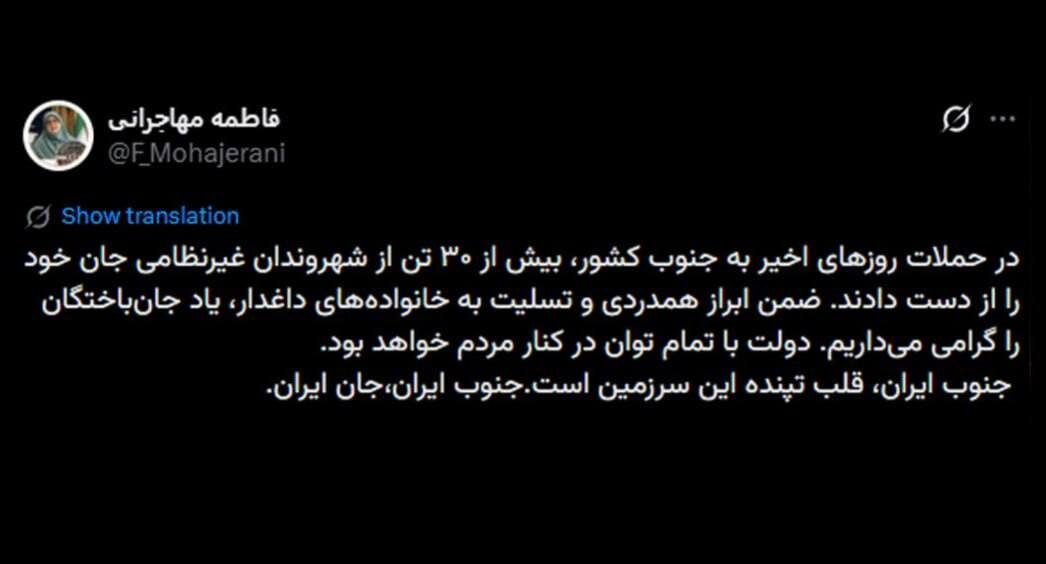 مهاجرانی: در حملات اخیر به جنوب ایران بیش از ۳۰ غیرنظامی شهید شدند