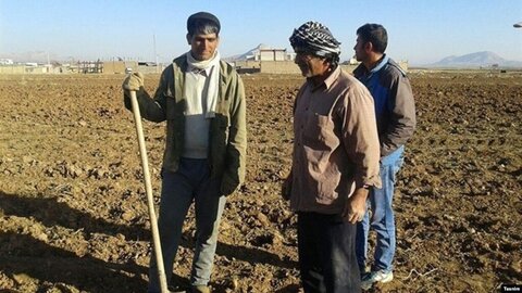 گرانی کود شیمیایی، دردسر کشاورزان شده است +جدول