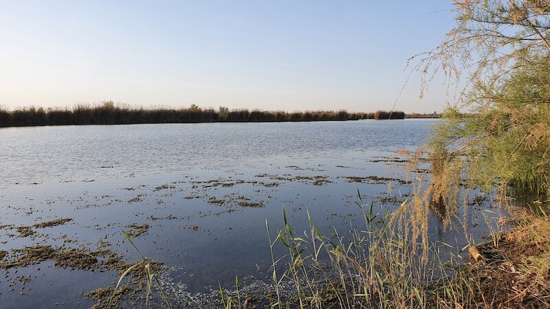 سفر به تالاب بامدژ در جلگه خوزستان