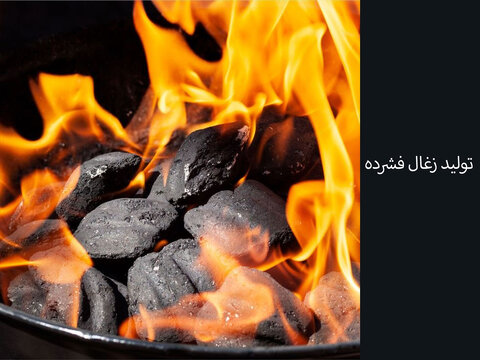 چرا بعضی کارخانه ‌های تولید زغال موفق می‌شوند و بعضی دیگر نه؟