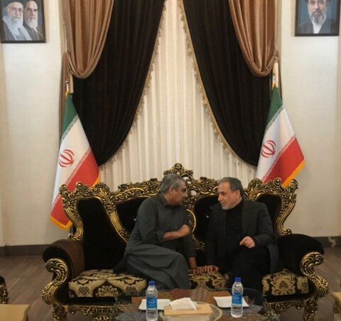 دیدار عراقچی و وزیر کشور پاکستان در مشهد