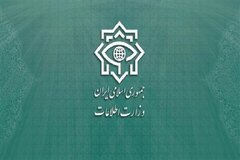 هشدار وزارت اطلاعات به دولت فرانسه: مراقب رفتار دیپلمات‌هایتان باشید