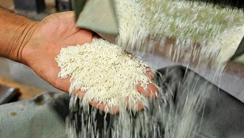 توقیف ۳۰ تن برنج قاچاق به ارزش ۹ میلیارد تومان در مرز چذابه