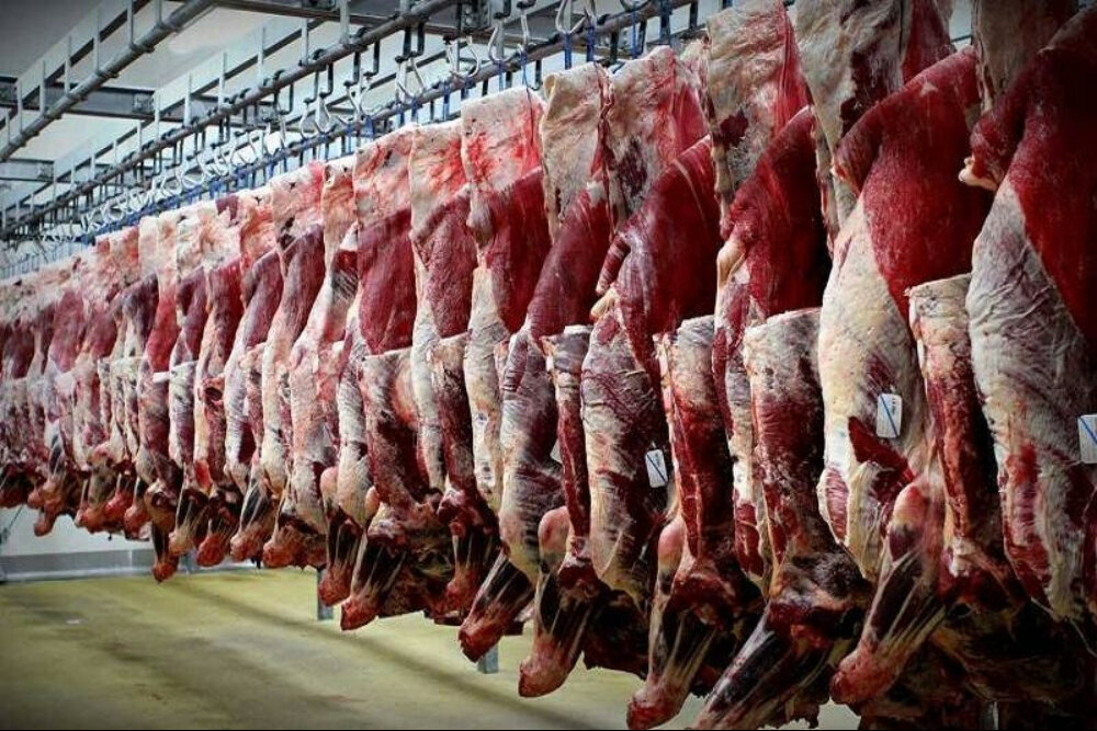 قیمت گوشت گوساله و گوسفند امروز پنجشنبه ۱۲ شهریور ۱۴۰۵ +جدول