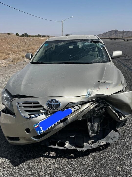 اتومبیل علیرضا افتخاری