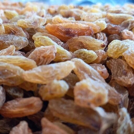 سوء استفاده از نشان تجاری کشمش «خلیل‌آباد»