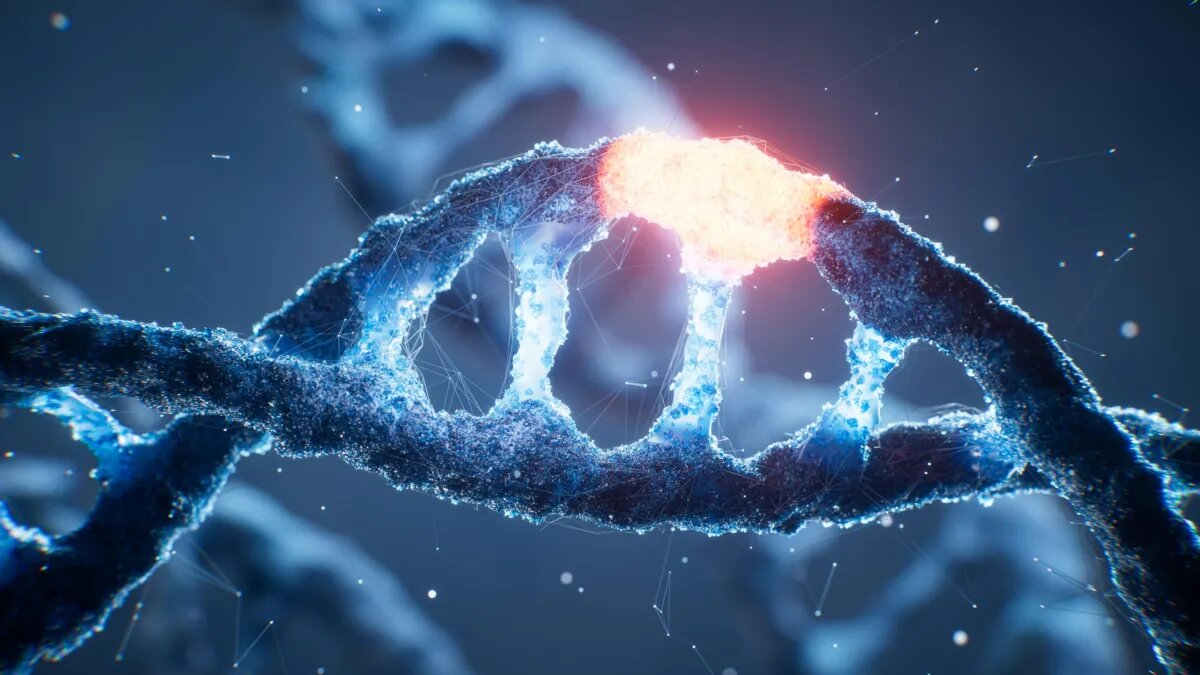 زندگی ۴ حرف DNA است اما دانشمندان به تازگی ۸ حرف آن را ساخته‌اند!