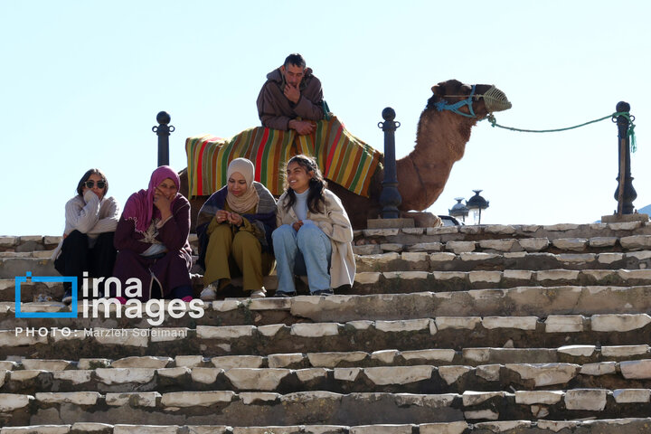 آمفی تئاتر تونس