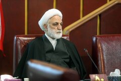 حضور محسنی اژه‌ای در مراسم تشییع آیت‌الله شبیری زنجانی +ویدیو