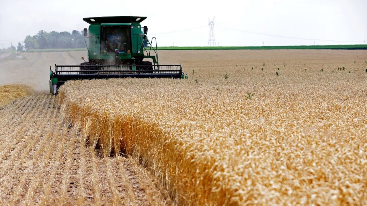 آمریکا در مسیر ممنوعیت صادرات گازوئیل