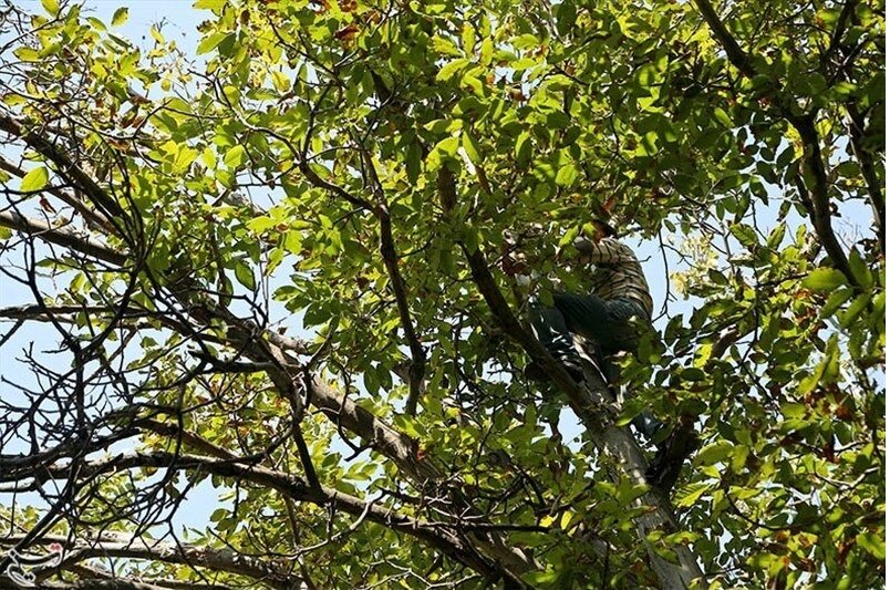 گردوتکانی در تویسرکان جان ۲ نفر را گرفت