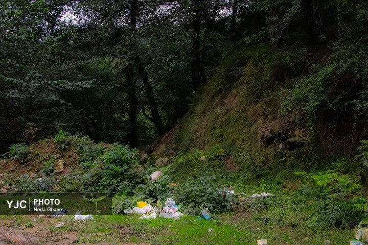 طبیعت شمال