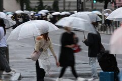 ۳۴ روز بارندگی متوالی در توکیو؛ بالاترین رکورد ۱۴۰ سال اخیر ثبت شد