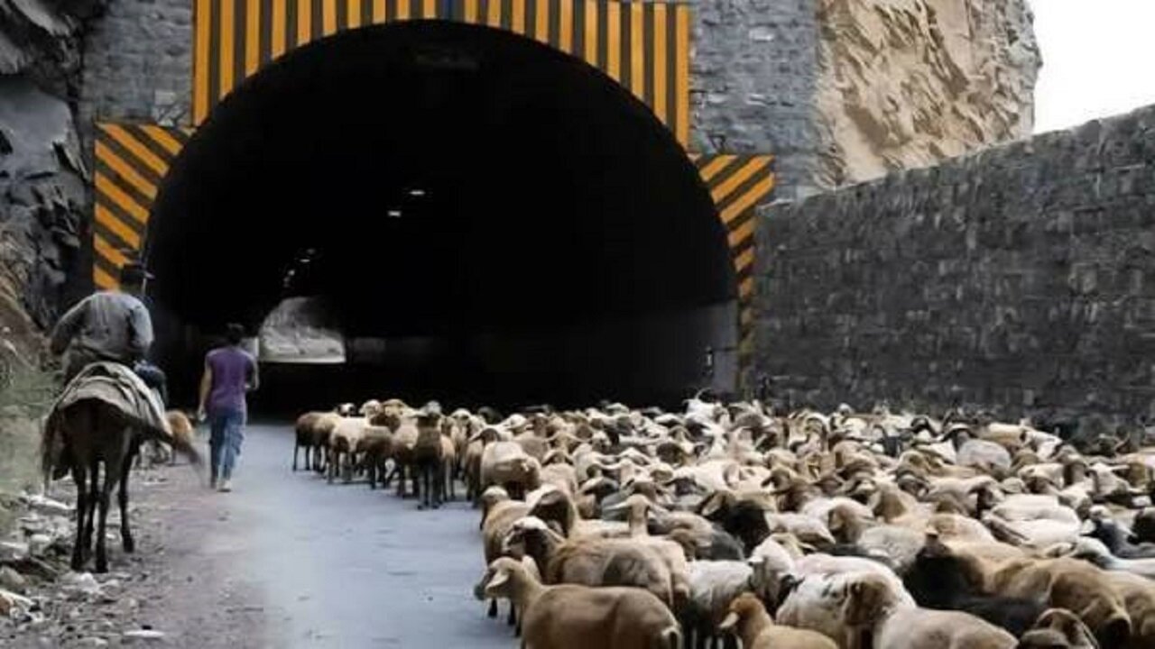 انسداد محور کندوان برای عبور احشام از این تاریخ