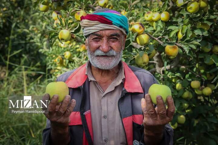 باغ سیب