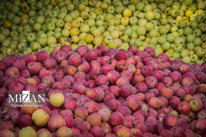 باغ سیب