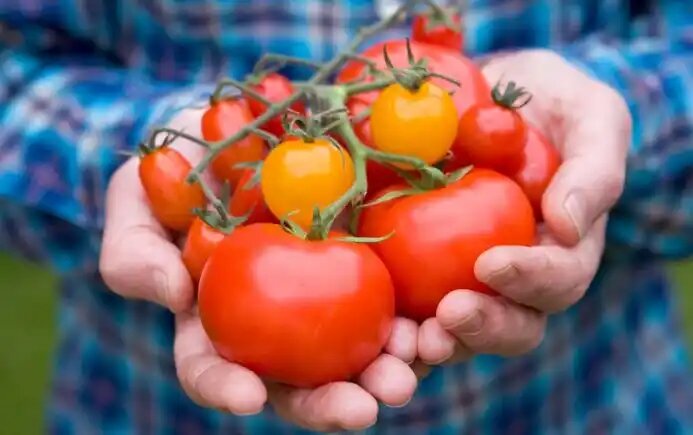 با این 5 سبزی خودتان را هیدراته نگه دارید!