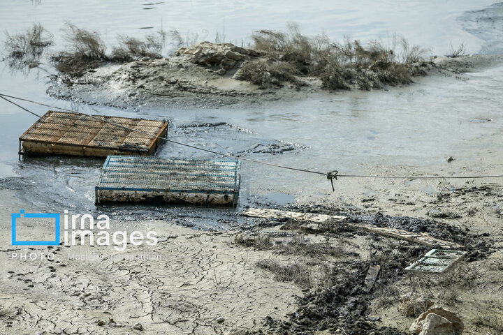 مدرسه