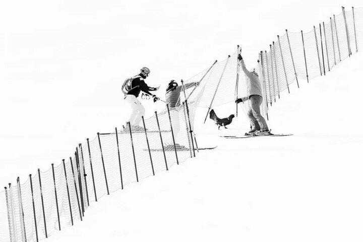 عکسهای طبیعت