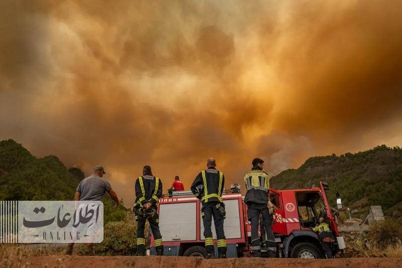 ببینید آتش‌ مهارنشدنی با «سواحل قناری» چه کرد؟ +تصاویر