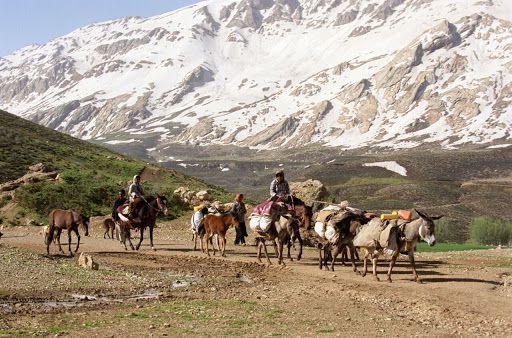 عشایر؛ مردمانی سخت کوش که با کمترین هزینه بهترین تولید را دارند