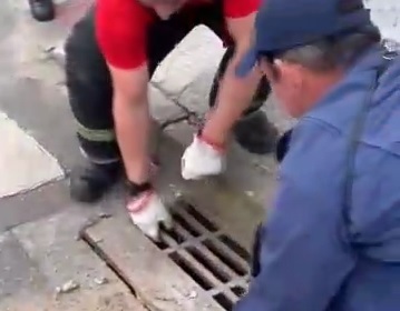 ویدئویی از کشف یک موجود عجیب در فاضلاب شهری را ببینید